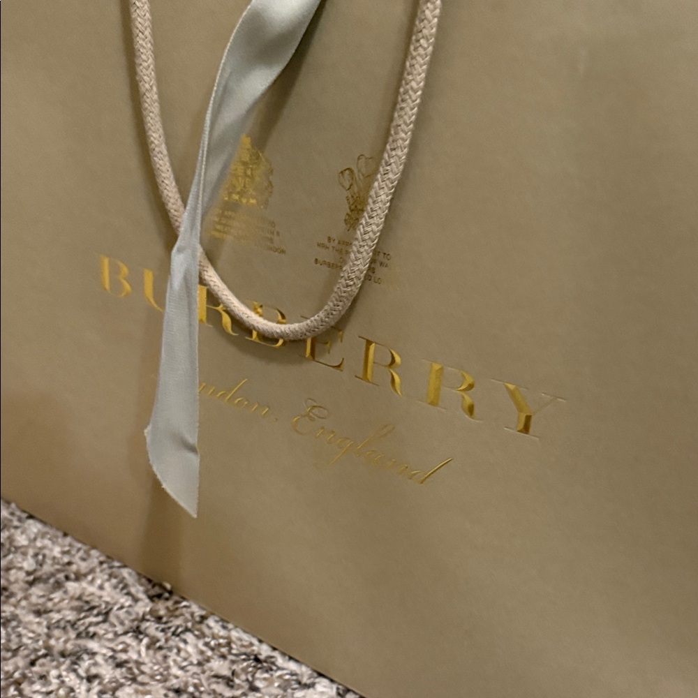 Burberry Shopping Storage Bag - Picture 5 of 11